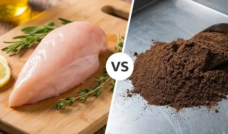Comparativa visual: Pechuga de pollo fresca vs montoncito de harina de carne concentrada