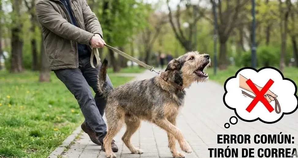 Dueño dando un tirón fuerte de correa a un perro que está ladrando, ilustrando un error común