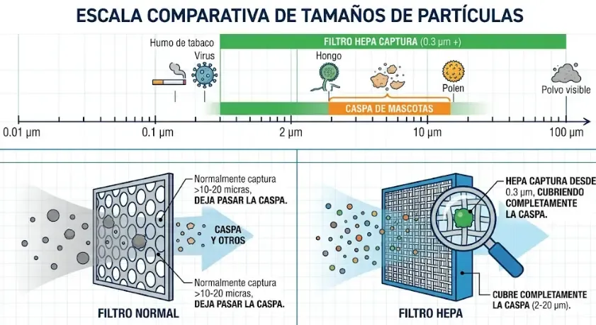 Escala comparativa de tamaños de partículas: el filtro HEPA captura desde 0.3 micras, cubriendo completamente la caspa de mascotas de 2-20 micras. Un filtro normal solo captura partículas mayores a 10-20 micras, dejando pasar la caspa