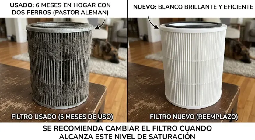 Comparativa visual de filtro HEPA usado vs nuevo después de 6 meses de uso en hogar con dos perros. El filtro usado está gris oscuro por acumulación de pelo de pastor alemán, caspa y polvo. El filtro nuevo es blanco brillante. Se recomienda cambiar el filtro cuando alcanza este nivel de saturación