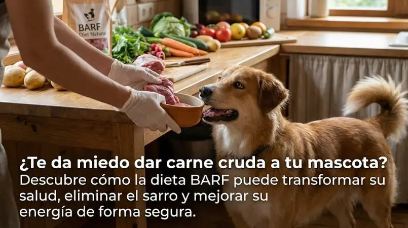 Dieta BARF para Principiantes: Guía Definitiva (Sin Miedo a los Huesos)