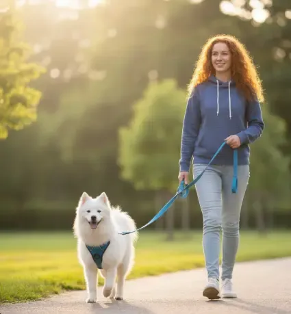 Perro paseando tranquilo con correa larga y arnés en un parque