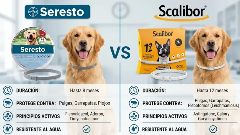 Comparativa completa entre los collares Seresto y Scalibor. Duración real, eficacia contra garrapatas y mosquitos, y cuál es mejor según el estilo de vida de tu perro.