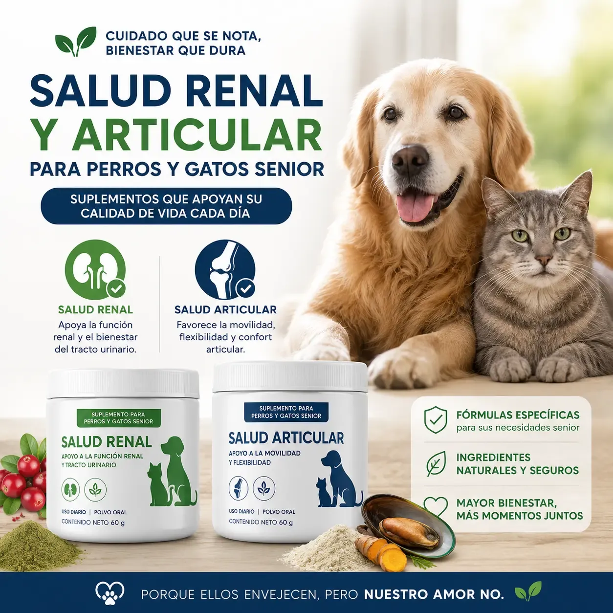 Suplementos recomendados para la salud renal y articular de mascotas senior